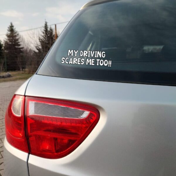 Sticker – My driving scares me too