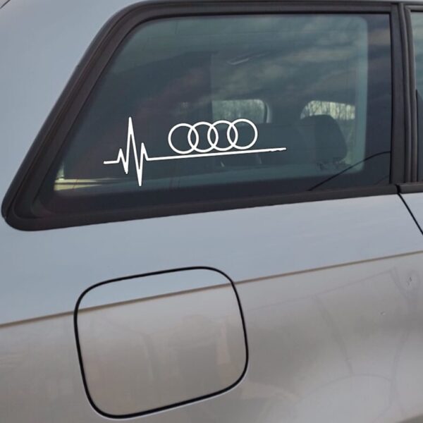 ekg audi