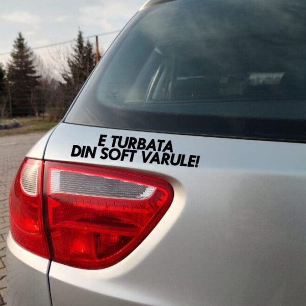 turbata din soft
