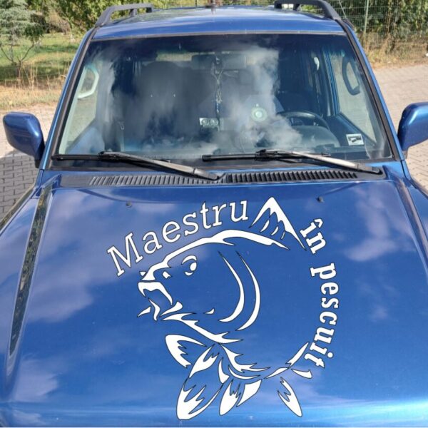 Sticker Maestru in pescuit